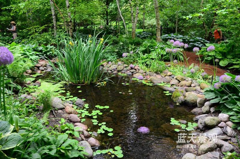 图文:庭院池塘鱼池景观设计参考